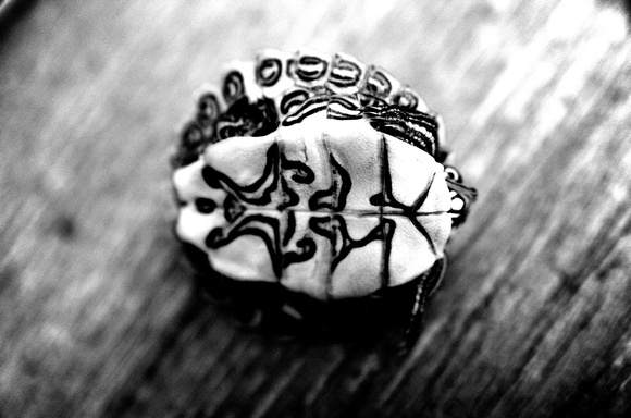 Tribal Turtle