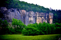 Roark Bluff