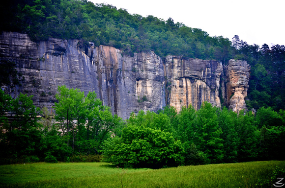 Roark Bluff